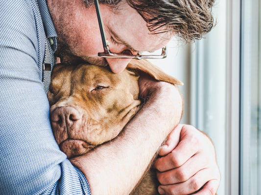 Man wearing glasses kisses his brown dog on the head, showing a supportive bond during behaviour training—a reminder that calm routines and simple Dog Accessories from an Online Pet Store can help.