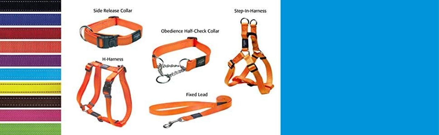 Reflective Nylon Choke Collar; Slip Show Obedience Training Gentle Choker for Medium Dogs, Orange