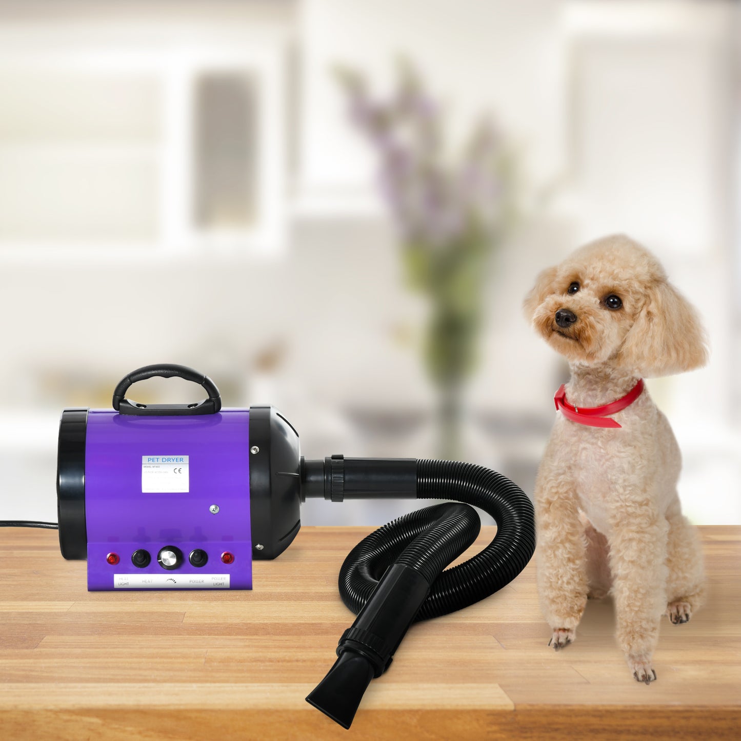 2800W Dog Hair Dryer for Pets - Powerful Pet Grooming Blaster with Water Blower UK