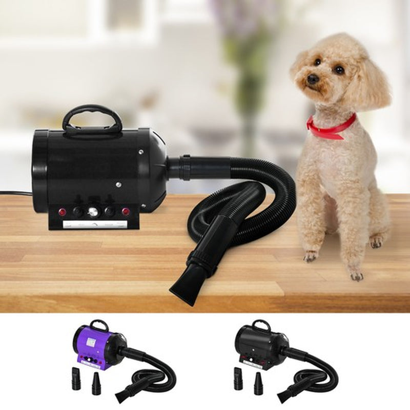 2800W Dog Hair Dryer for Pets - Powerful Pet Grooming Blaster with Water Blower UK