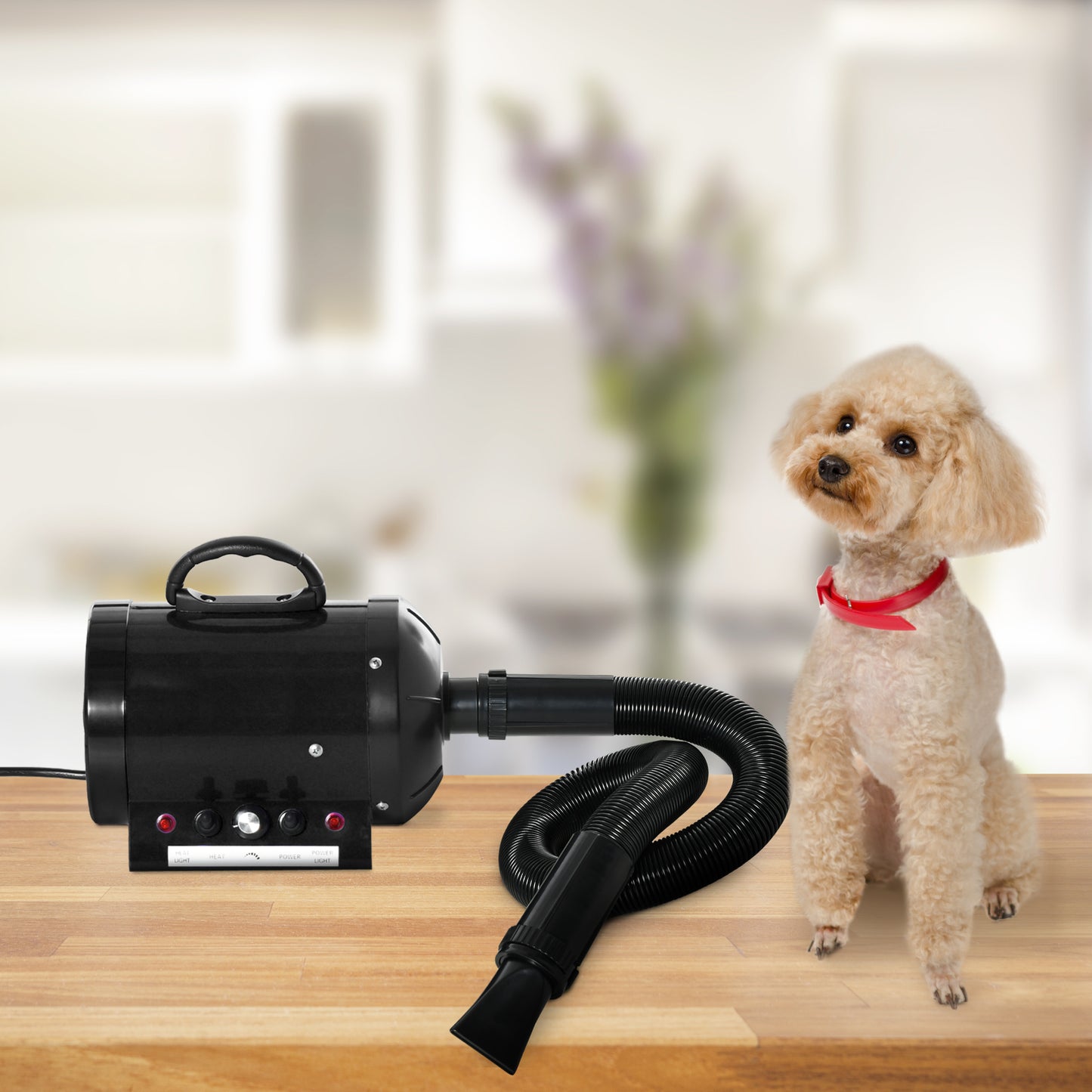 2800W Dog Hair Dryer UK – Professional Pet Grooming Blaster with Adjustable Heat, Water Blower & 3 Nozzles for Dogs and Cats