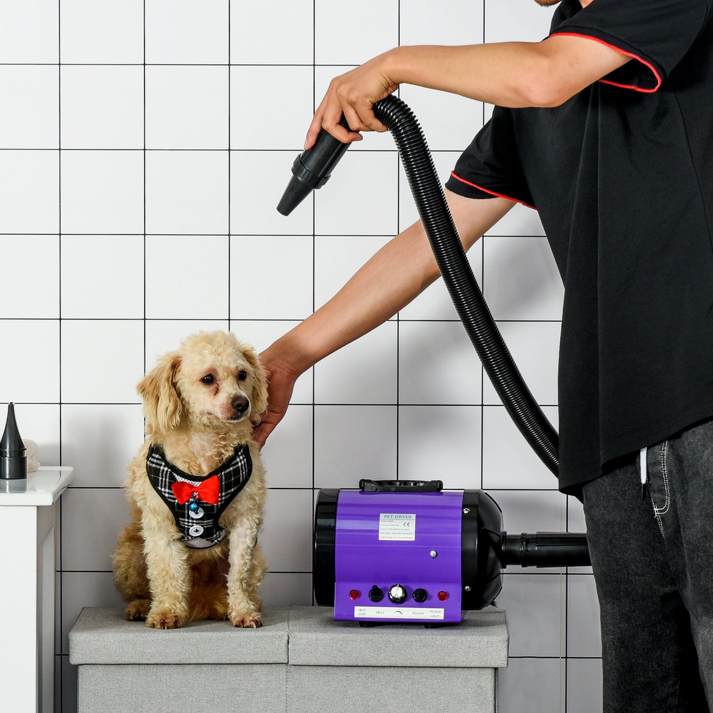 2800W Dog Hair Dryer UK – Professional Pet Grooming Blaster with Adjustable Heat, Water Blower & 3 Nozzles for Dogs and Cats