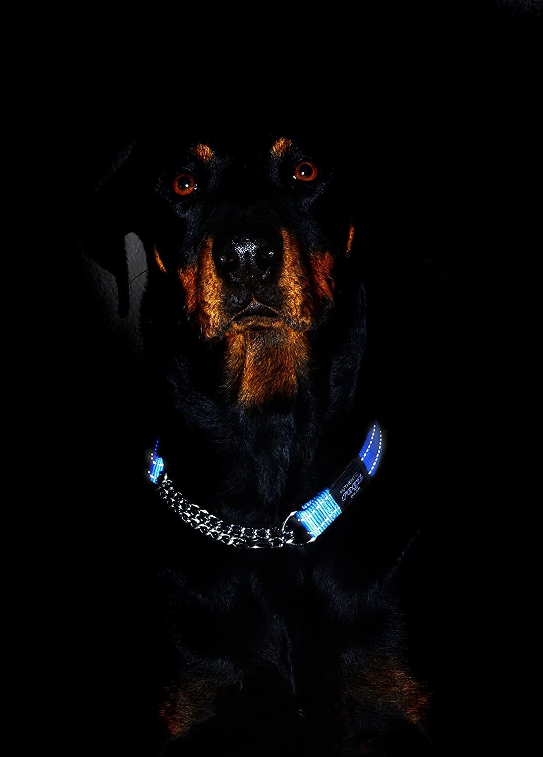 Reflective Nylon Choke Collar; Slip Show Obedience Training Gentle Choker for Medium Dogs, Orange