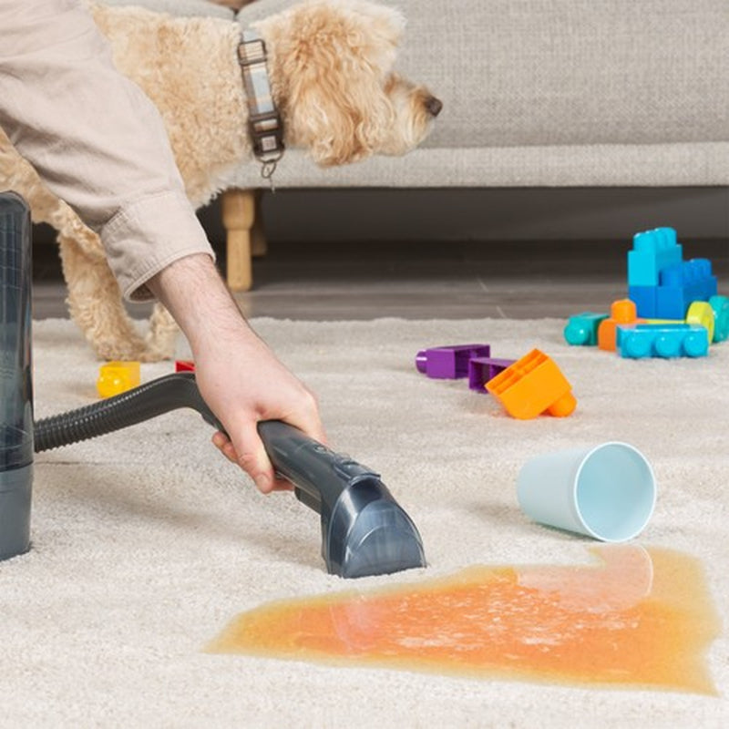 Beldray Spot Cleaner Spot Buster Pro Extendable Hose Portable for Pets & Stains