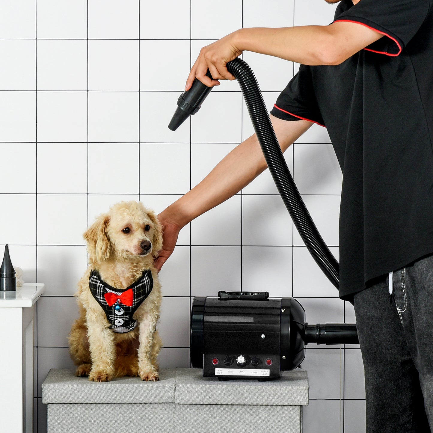 2800W Dog Hair Dryer for Pets - Powerful Pet Grooming Blaster with Water Blower UK