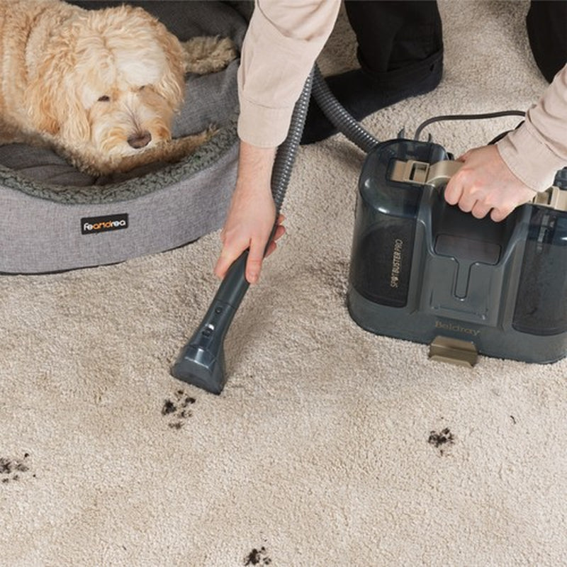Beldray Spot Cleaner Spot Buster Pro Extendable Hose Portable for Pets & Stains