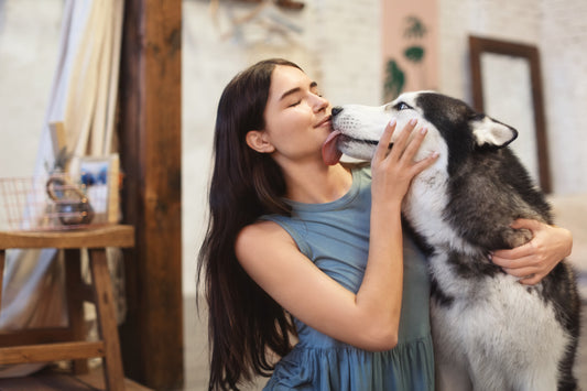 Why Do Dogs Lick You? A Comprehensive Guide for Dog Owners