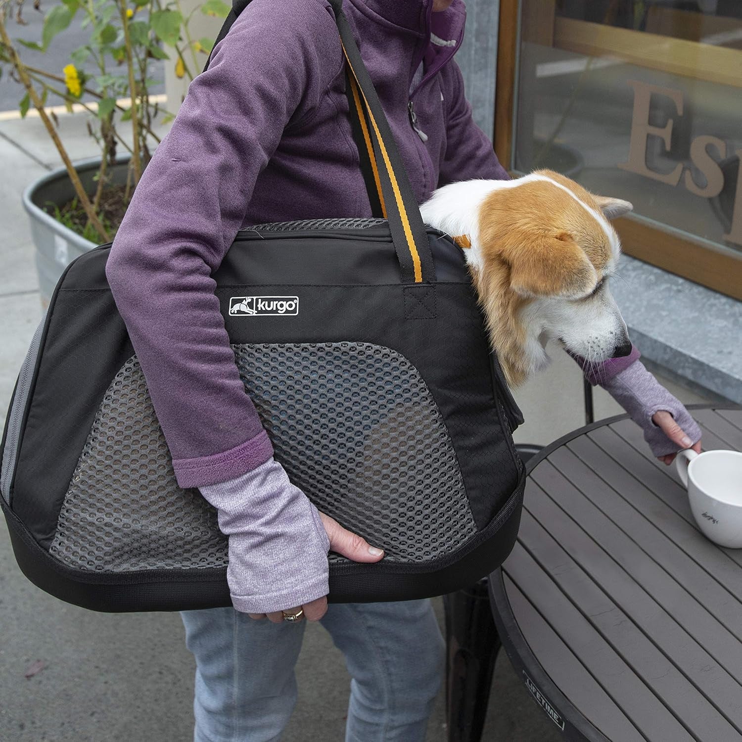 Explorer Carrier, Carrier Bag for Small Dogs and Cats, Waterproof Bottom, Lightweight, Large-Black