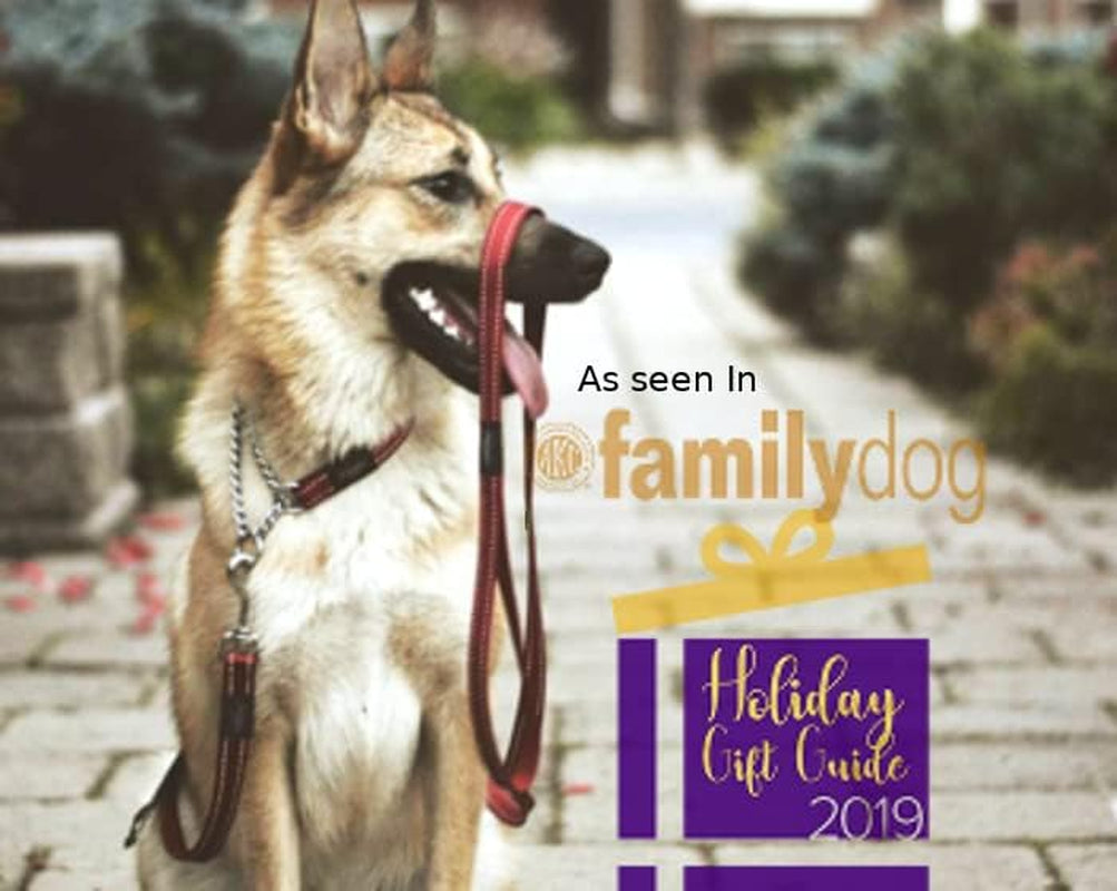 Reflective Nylon Choke Collar; Slip Show Obedience Training Gentle Choker for Medium Dogs, Orange