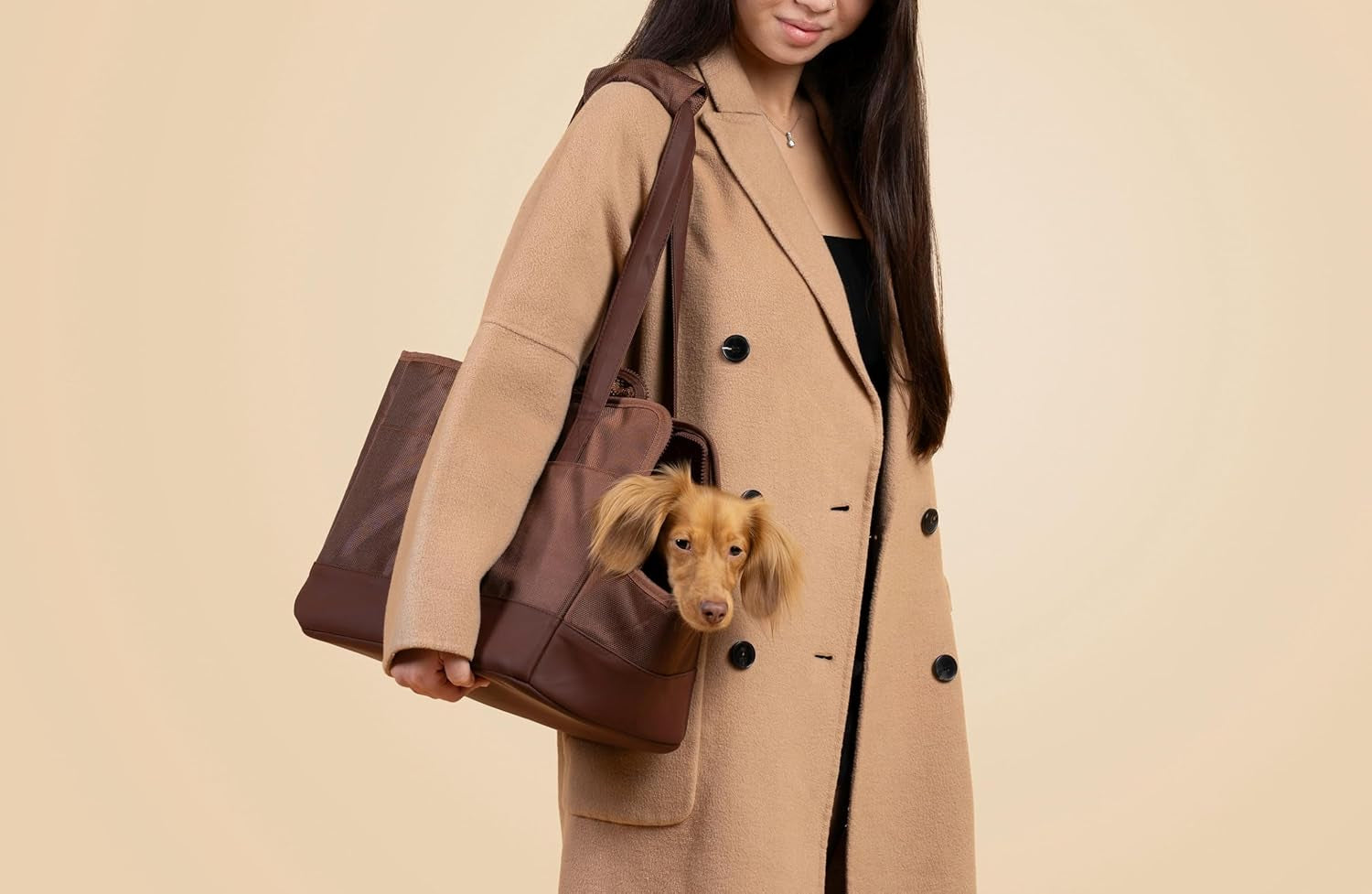 Pet Carrier for Small Dogs Cats and Puppy from  | Sturdy Dog Tote Bag | Vegan Dog Purse | Cat Carrier Purse | Dog Carriers for Small Dogs | Everyday Pet Tote for Pets under 15Lbs
