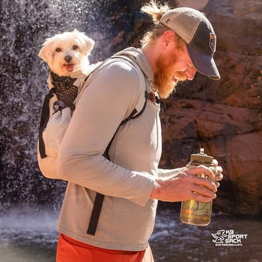 Small dog in adjustable dog carrier backpack on man’s back while hiking outdoors – lightweight pet travel carrier
