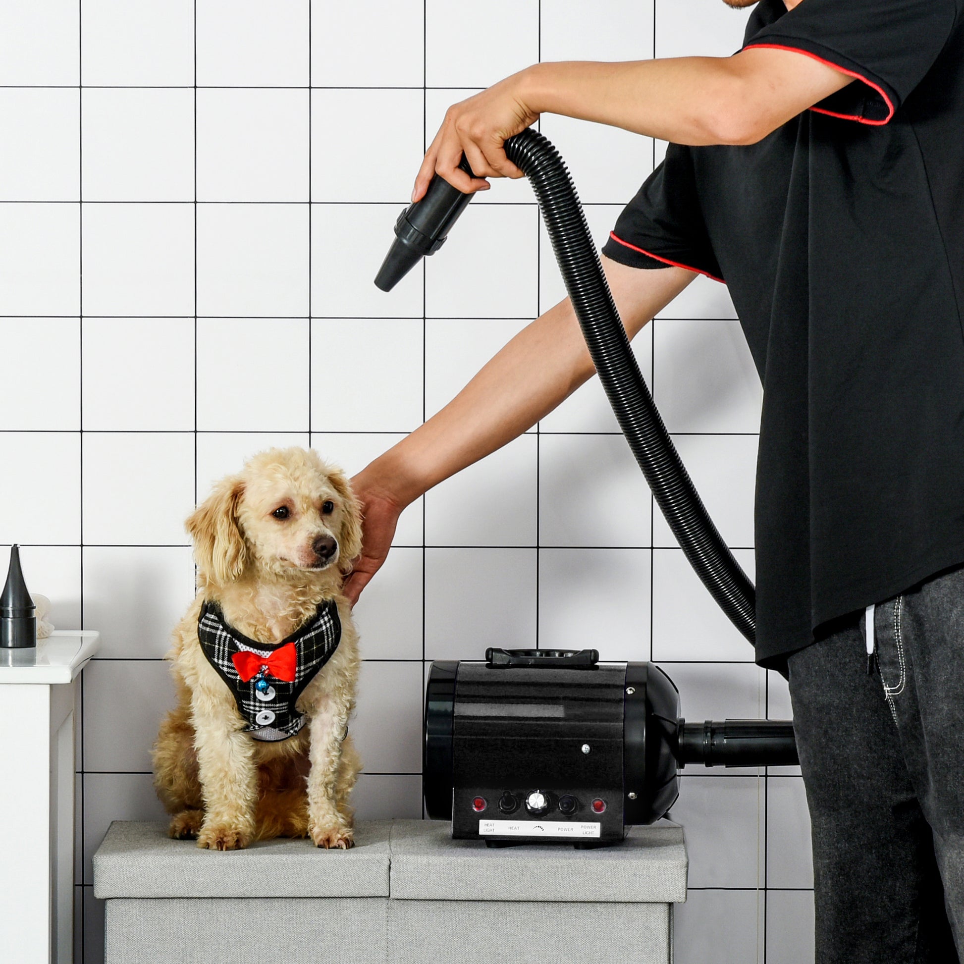 2800W Dog Hair Dryer for Pets - Powerful Pet Grooming Blaster with Water Blower UK